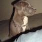 2 meses y medio